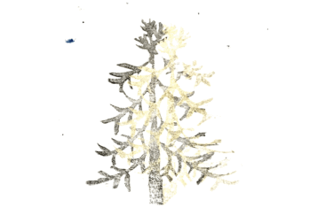 消しゴムハンコ